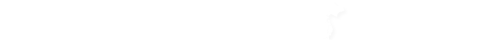 野菜摂取量ランキング